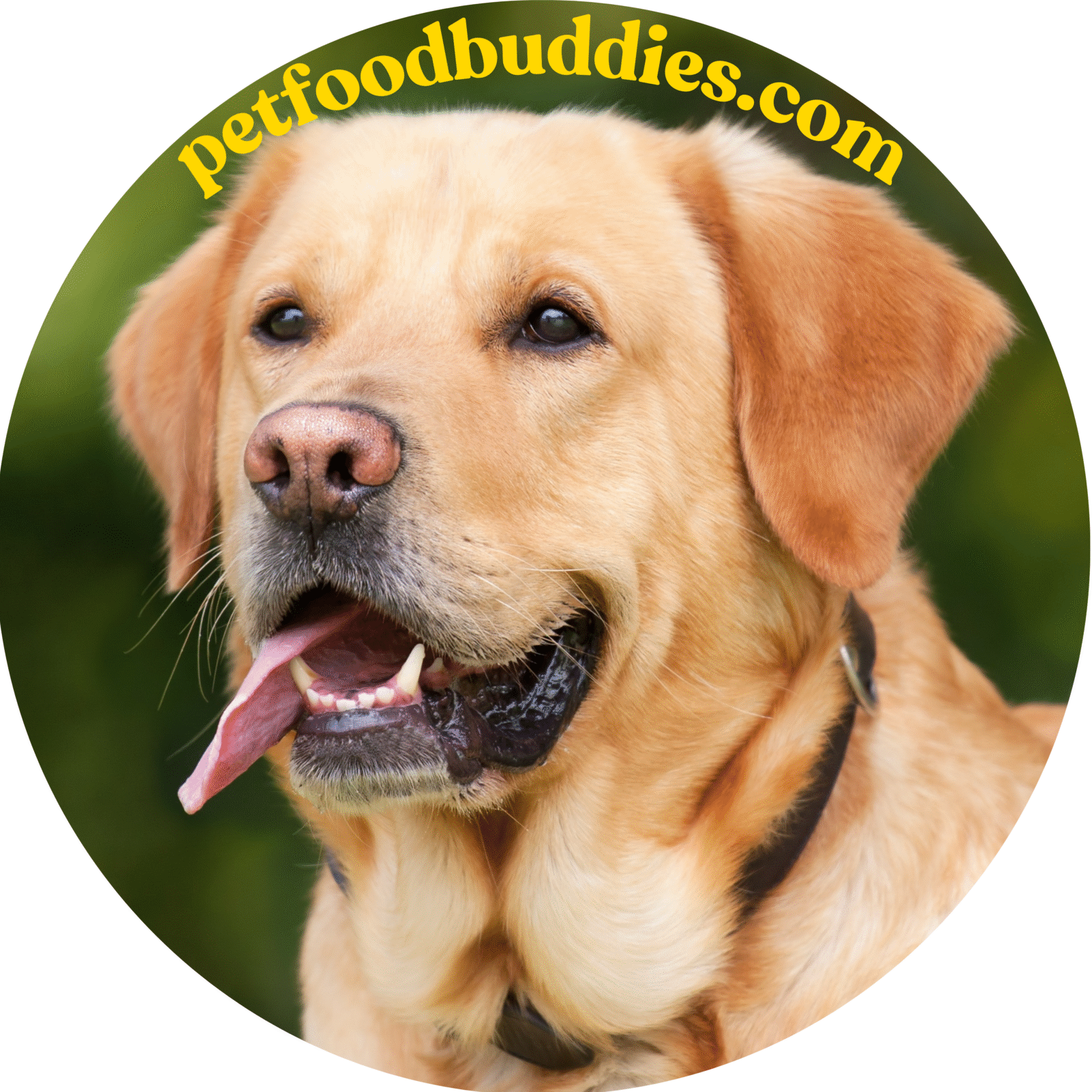 petfoodbuddies.com