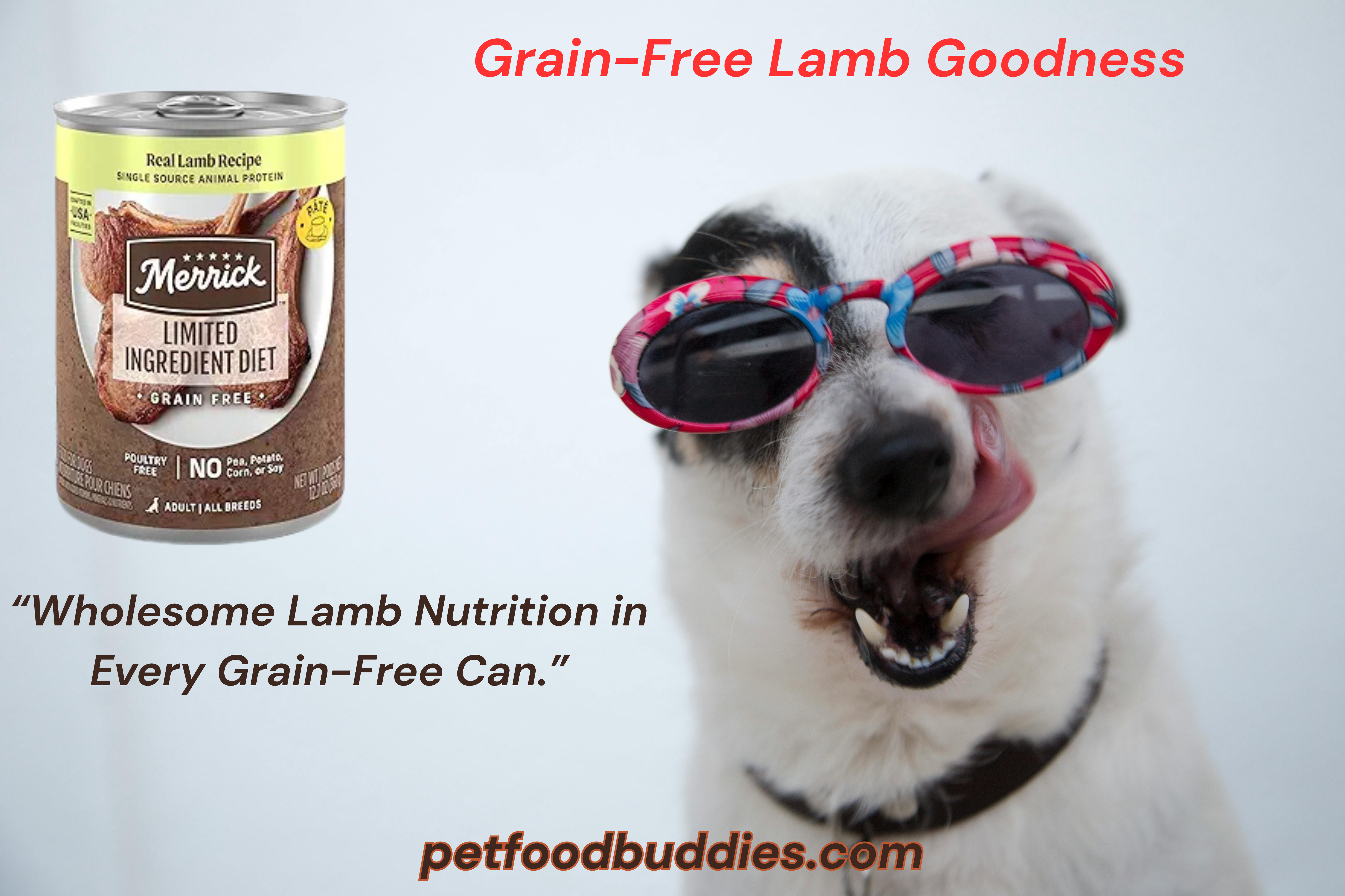 Merrick Limited Ingredient Grain-Free Lamb Wet Dog Food